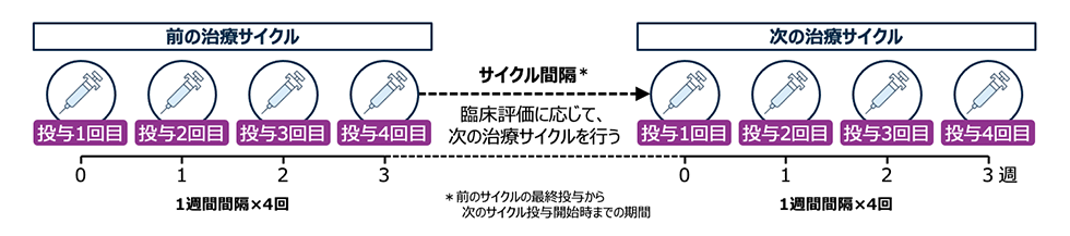 治療サイクルの説明図