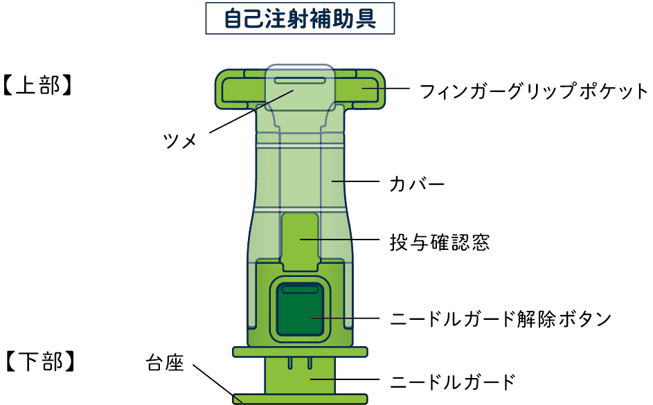 自己注射補助具の各部名称を図示しています。