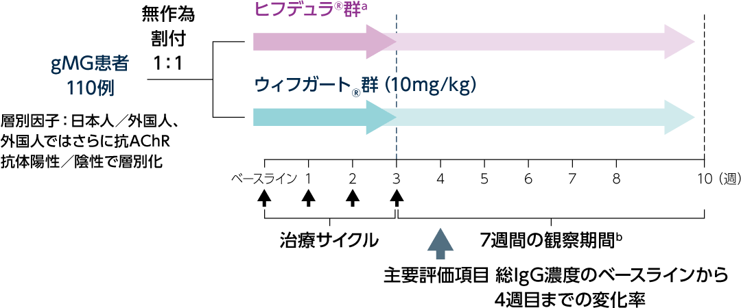 投与方法の図