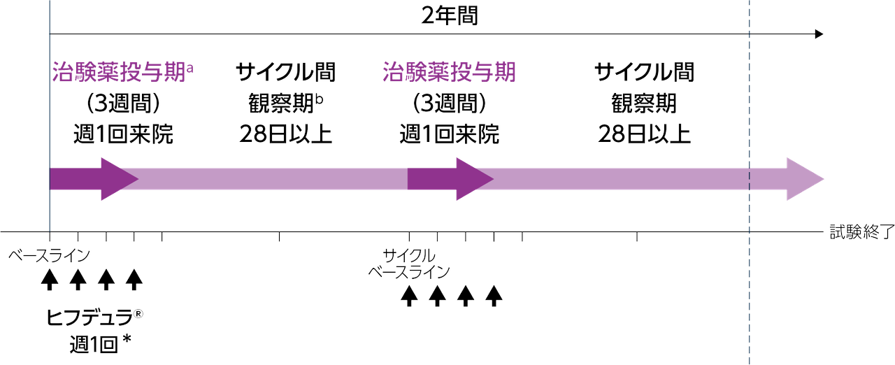 投与方法の説明図