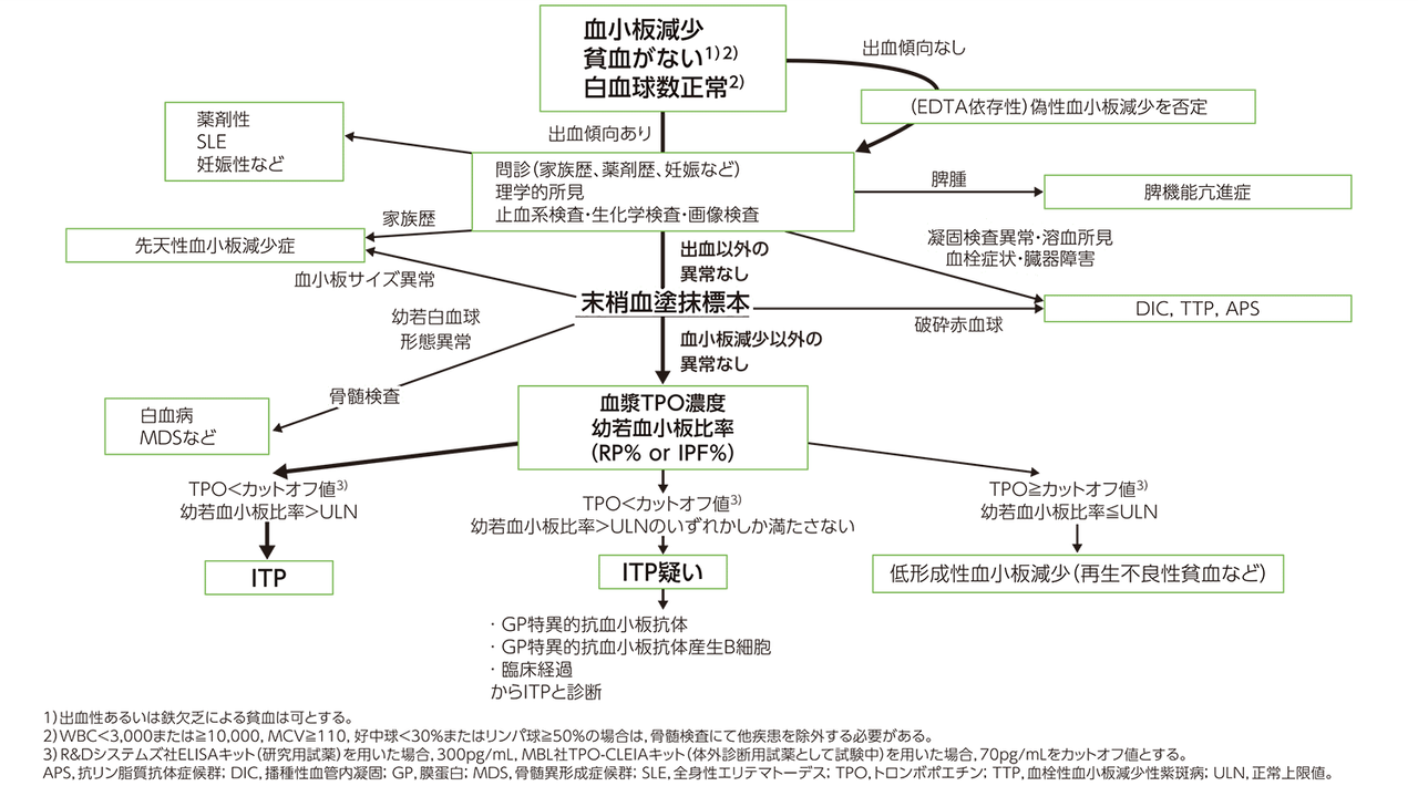 難治性特発性血小板減少症の死亡率について - Genspark